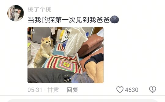 I’m dying laughing—when guests come over, the “native” is totally blown away!