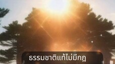 ธรรมชาติแท้ไม่มีกฎเกณฑ์ แล้วทำไมมนุษย์ต้องสร้างพันธนาการ