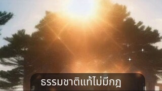 ธรรมชาติแท้ไม่มีกฎเกณฑ์ แล้วทำไมมนุษย์ต้องสร้างพันธนาการ