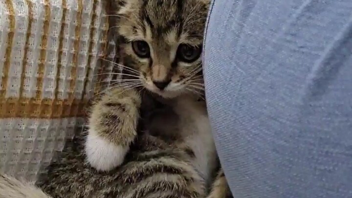 ลุยเต็มที่