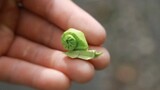 Super cute snail origami tutorial!