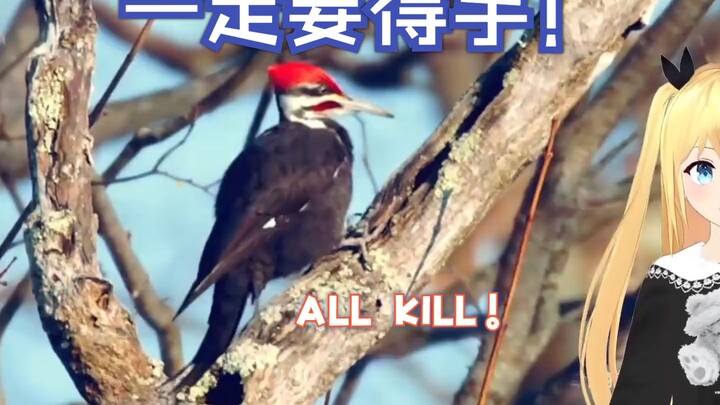 日本学妹看《树：讲真的，我已经不在乎那条虫子了！》