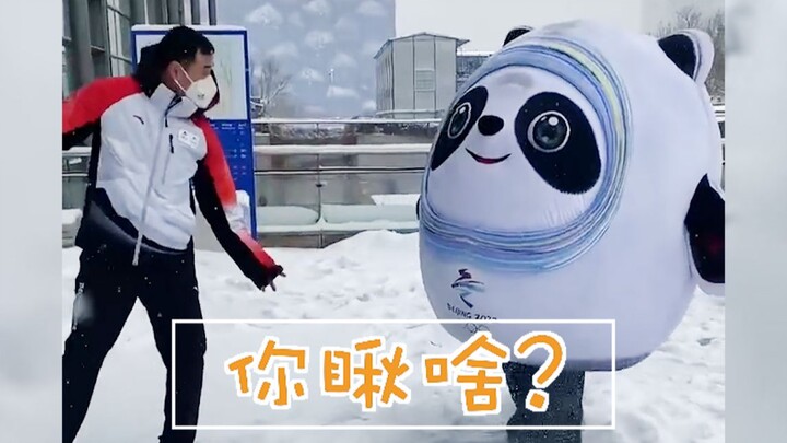 ههههه!! لا أستطيع أكثر، أنا على وشك أن أموت من الضحك على بينغ دوندونغ!!