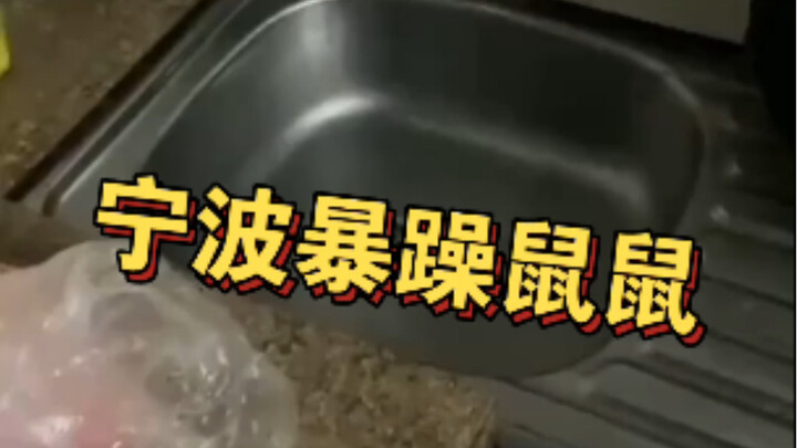 "Ningbo Mice"