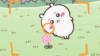 ชู~เบบี้จีอีน่ารักมาก ขอโทษจริงๆ (ᐢˊo̴̷̤ ̫ o̴̤ˋᐢ)♡