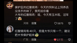 A talented horse is often found, but a discerning judge is hard to come by.