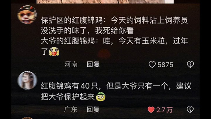 千里马常有 而伯乐难寻.