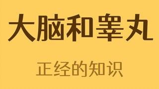 هل الدماغ والخصيتان هما العضوان الأكثر تشابهًا؟