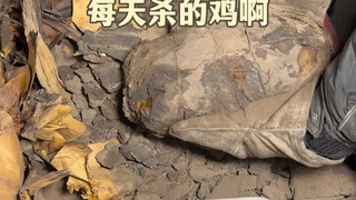 街头偶遇叫花鸡，93一只，一吃一个不吱声！