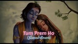 Tum Prem Ho Slowed + Reverb