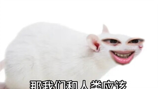 How Did God Create the Little White Mouse