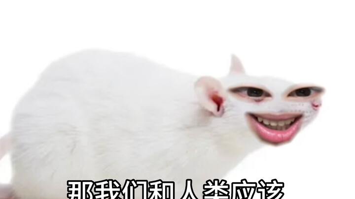 上帝是如何创造小白鼠的