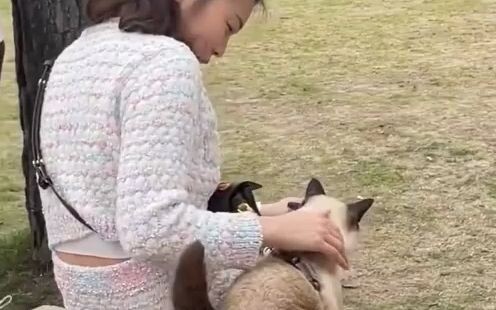 I’ve noticed this cat—every single move it makes is purposeful!