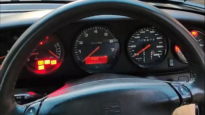 Ran into a wild 993 [like]