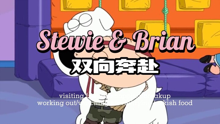 谁懂？大狗狗和Stewie之间的暗涌