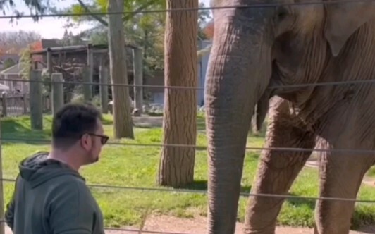 A Super Smart Elephant: Hand me that stick, and I’ll give it a try…