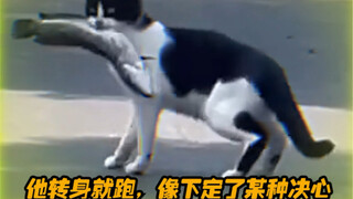 Seberapa keras Mimi berjuang demi bisa makan sendirian