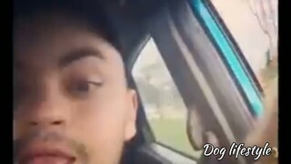 dogs need to be happy  doing this🥰 | Dog lifestyle