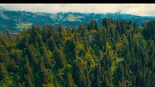Beautiful Relaxing Music for Stress Relief • Meditation Music, Sleep Music, Ambient Study Music