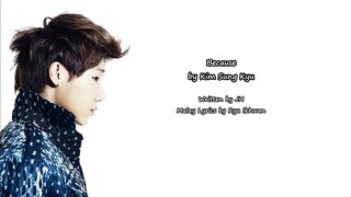 Kim Sung Kyu 'Because' (Lyrics : Malay SUB)