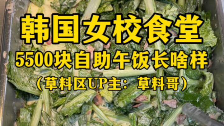 韩国女校食堂5500元自助午饭长啥样？（竹板儿这么一响啊…）