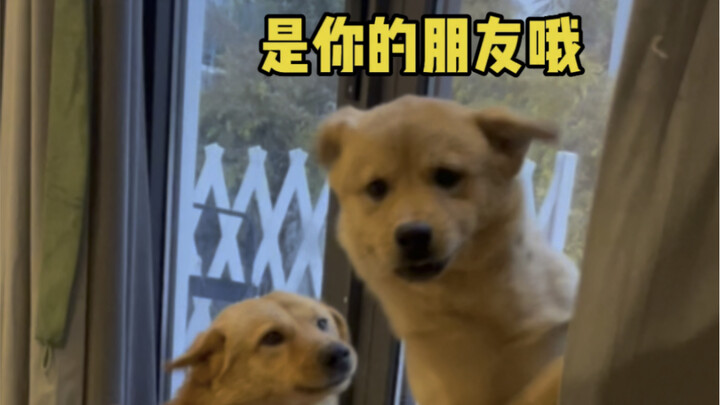 كنت أشاهد البرنامج وفجأة اكتشفت أن صديقي قد جاء.