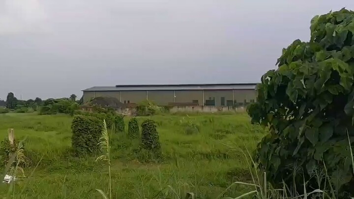 是我没有遇见缘分，还是没有遇见你，无论外面的世界如何纷繁复杂，只想和你过一种简单的生活，相濡以沫，白头到老。