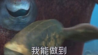 【中字】章鱼太丑！摩根弗里曼老爷子都绷不住了