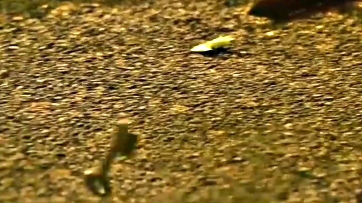 Rrr full movie online free part 1