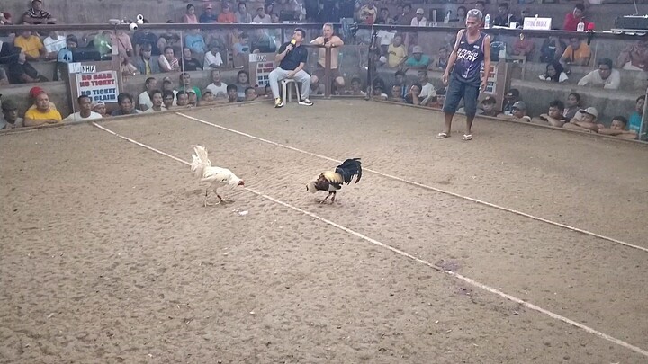 whatever jacket line 2