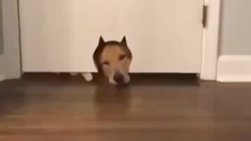 Excuse me, can you move? This is my door.