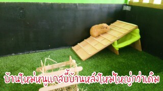 สร้างบ้านใหม่ให้แคนดีหนูแกสบี้ Guinea Pig บ้านใหม่ใหญ่กว่าเดิม