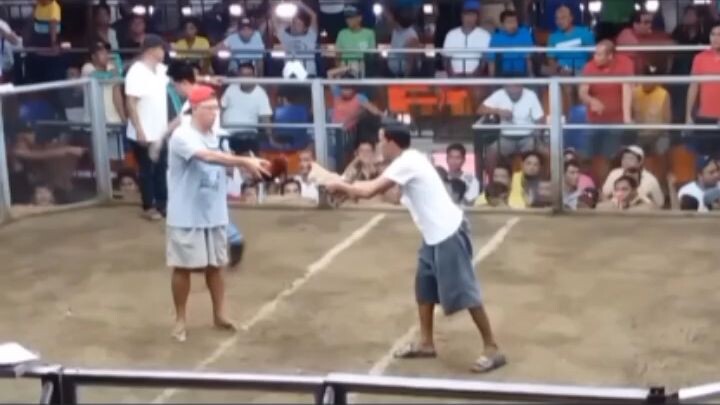 traditional sabong namilay pa ng bahagya naka tsamba