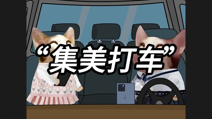 Support matching female passengers with female drivers! The person who came up with this idea truly 