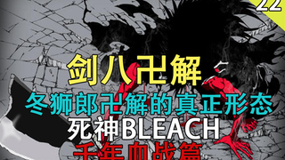 [死神BLEACH]千年血战篇 更木剑八卍解  冬狮郎真正的卍解（第二十二期）