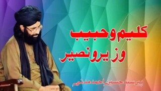 kaleem o Habib / wazir o naseer  || Dawat-e-Deen || Pir Syed Hussain Ahmed madni
