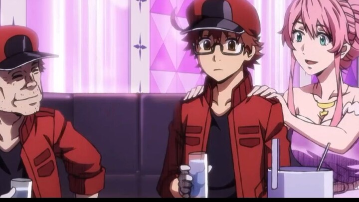 Aid in civil strife [Cells at Work! x Five Schools]