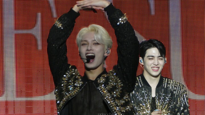 نعم، ون جون ني هي القطّة الصغيرة المدلّلة من 95Line!