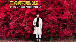 Let’s go see the bougainvillea in spring!