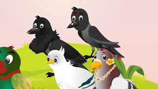 Rano Chidiya Wala Cartoon _ कार्टून चिड़िया _ NewTuni Achi Cartoon _ Hindi Kahan