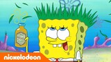 SpongeBob Kanciastoporty | Czy Pan Krab i Plankton są przyjaciółmi?! | Nickelodeon Polska