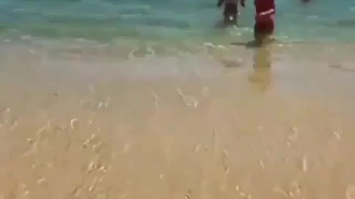 แย่แล้ว ถูกพบเข้าให้แล้ว