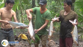 Về Vườn Út Quang KÉO AO CÁ LÂU NĂM | Hội Ngộ Miền Tây - Tập 377