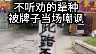 Kẻ cứng đầu không chịu nghe lời khuyên đã bị biển báo chế giễu ngay tại chỗ. Con đường này bị chặn, 