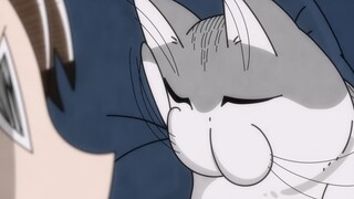 喵喵夜未眠38 睡到身边来的猫猫