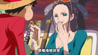 The most beloved partner of Luffy in the Straw Hat Pirates, and the only one who has never laid a ha