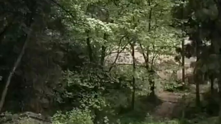 พี่น้องทั้งหลาย พวกคุณจะลงมือเมื่อไหร่?