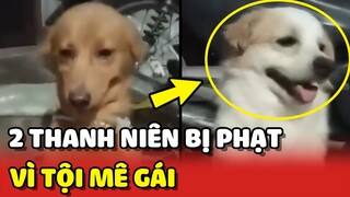 2 Thanh niên BỊ PHẠT vì tội MÊ GÁI đi chơi đến tối mới về 😂 | Yêu Lu