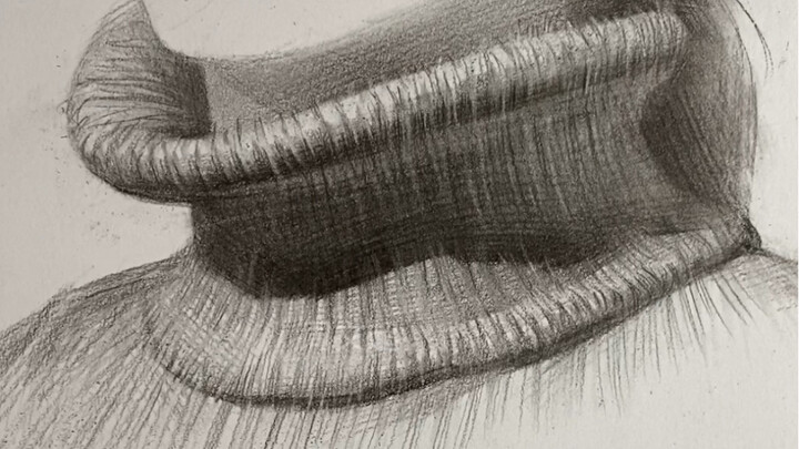 [Phác thảo] Cách vẽ cổ áo len