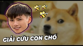 Review game siêu tốc#1: Save the Doge